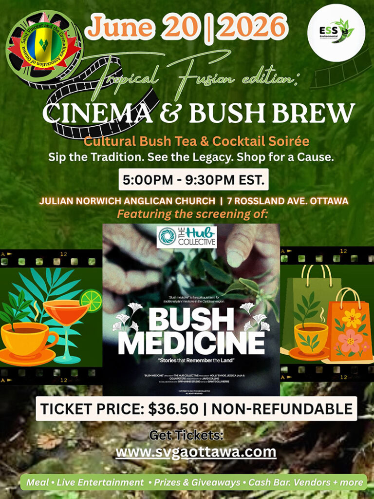 cinema bush brew svga ottawa